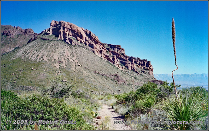 Pine Canyon Trail, Big Bend National Park, Texas