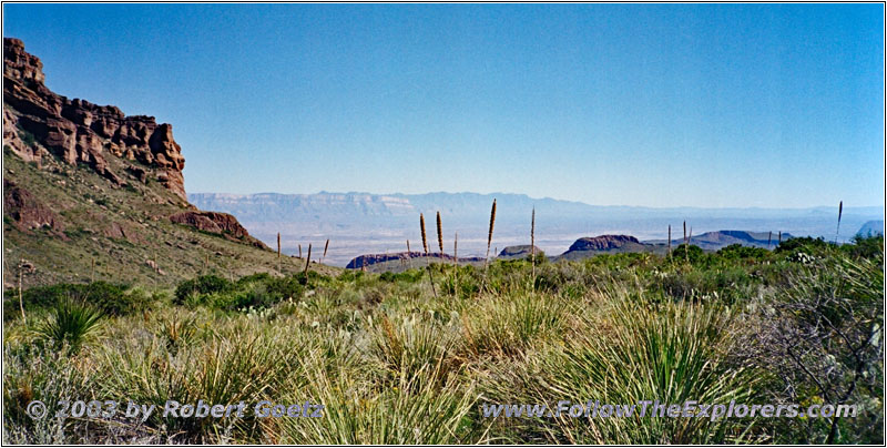 Pine Canyon Trail, Big Bend National Park, Texas