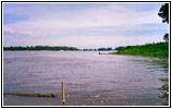 Camp Wood, Mississippi River, Illionois