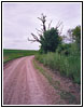 CR202, MO