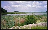 Mississippi River, IL