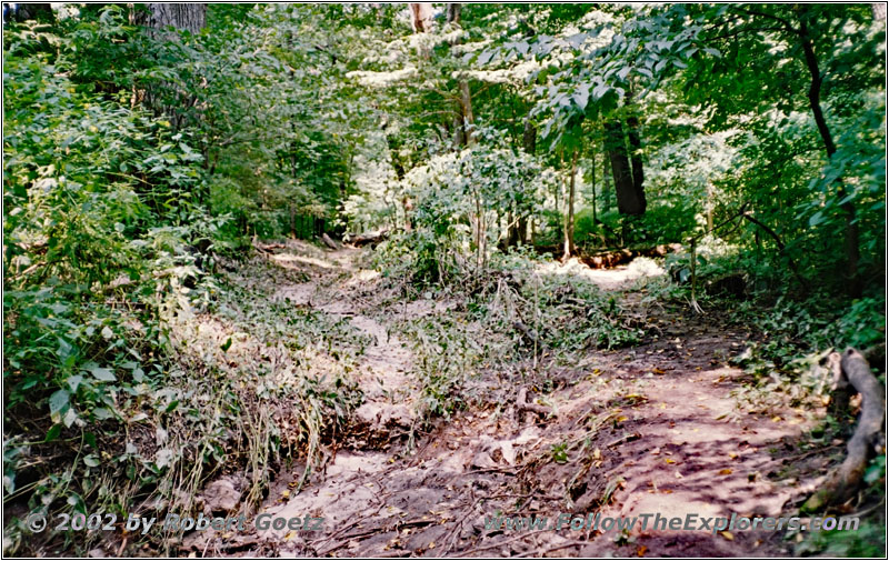 Sugar Maple Nature Trail, Wyalusing State Park, Wisconsin