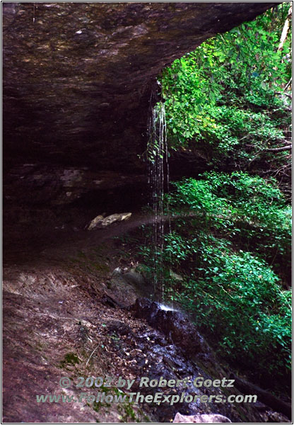 Bridal Veil Falls, Pikes Peak State Park, IA