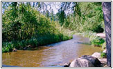 Ursprung Mississippi River, Lake Itasca State Park, Minnesota