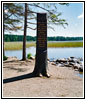 Marker Mississippi River Source, Lake Itasca SP, MN