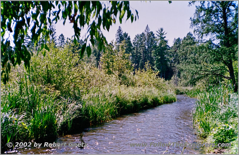 Mississippi River Source, Lake Itasca SP, MN