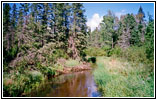 Mississippi River, Lake Itasca State Park, Minnesota