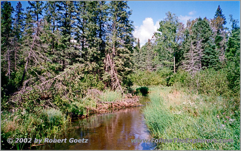 Mississippi River, Lake Itasca SP, MN