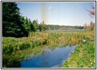 Elk Lake, Lake Itasca State Park, Minnesota